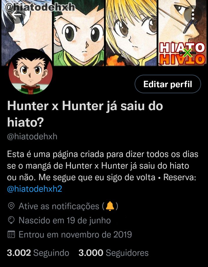 Hunter x Hunter já saiu do hiato? on X: Com a confirmação de que