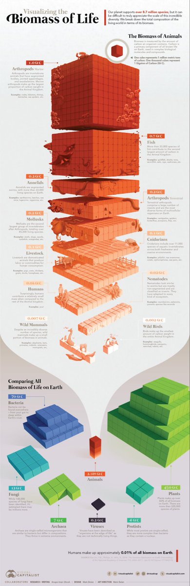 A great infographic for the classroom about the total biomass of the earth. Did you know us humans make up less that 0.01% of the total. We sure make a big impact on the plant for such a tiny proportion #geography #geographyteacher #climatechange #ClimateAction