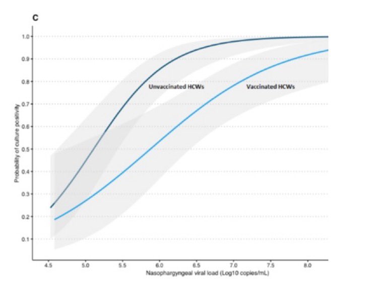 Un estudio reciente sugiere que las personas vacunadas (una vez infectadas) serían menos contagiosas que las no vacunadas.