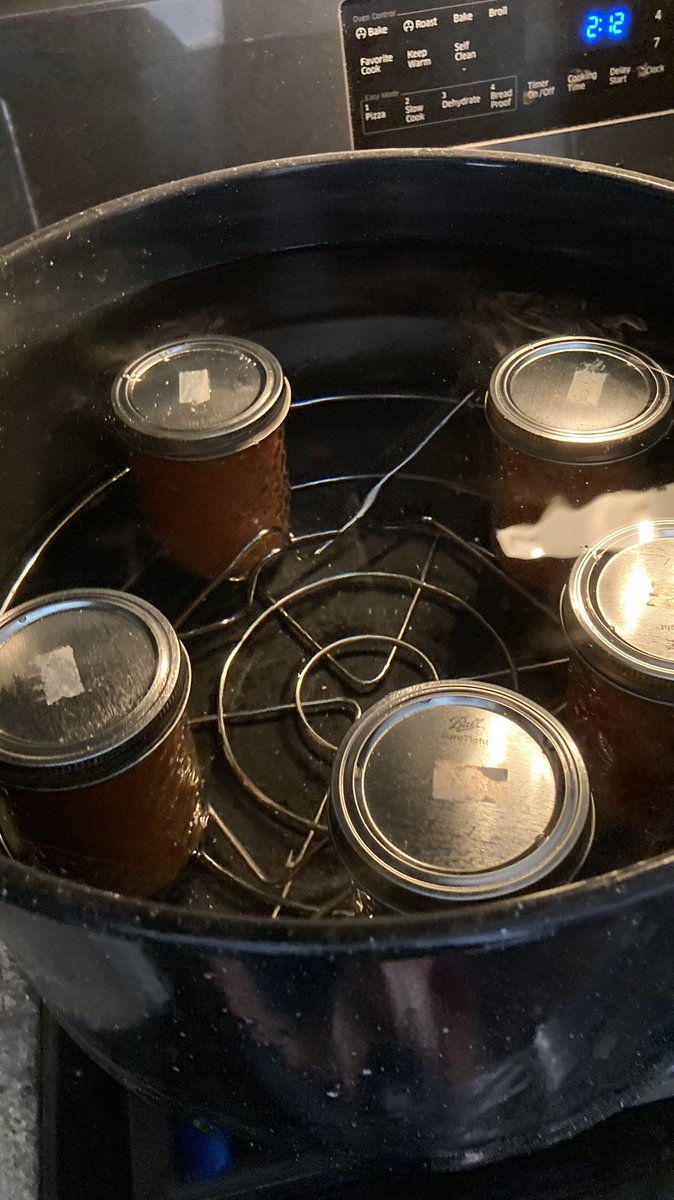 SueMo428dog's tweet photo. And now we wait…. #projectsalsa #hurricanhenri #sundayvibes https://t.co/Fu9FmxJeNA