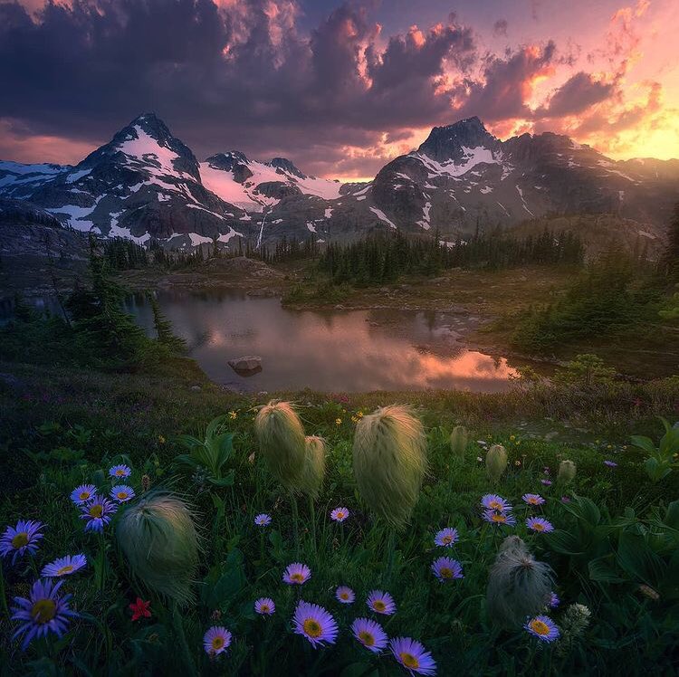 British Columbia, Canada | Photography by ©️Arpan Das #Canada #nature #naturelovers #landscape #travel #discover #lake #mountains #stars #sky #photograghy #earth #photooftheday #twitter #love #vacation #beautifulviews #awesome #places #wonderful #planetearth #adventure #flowers