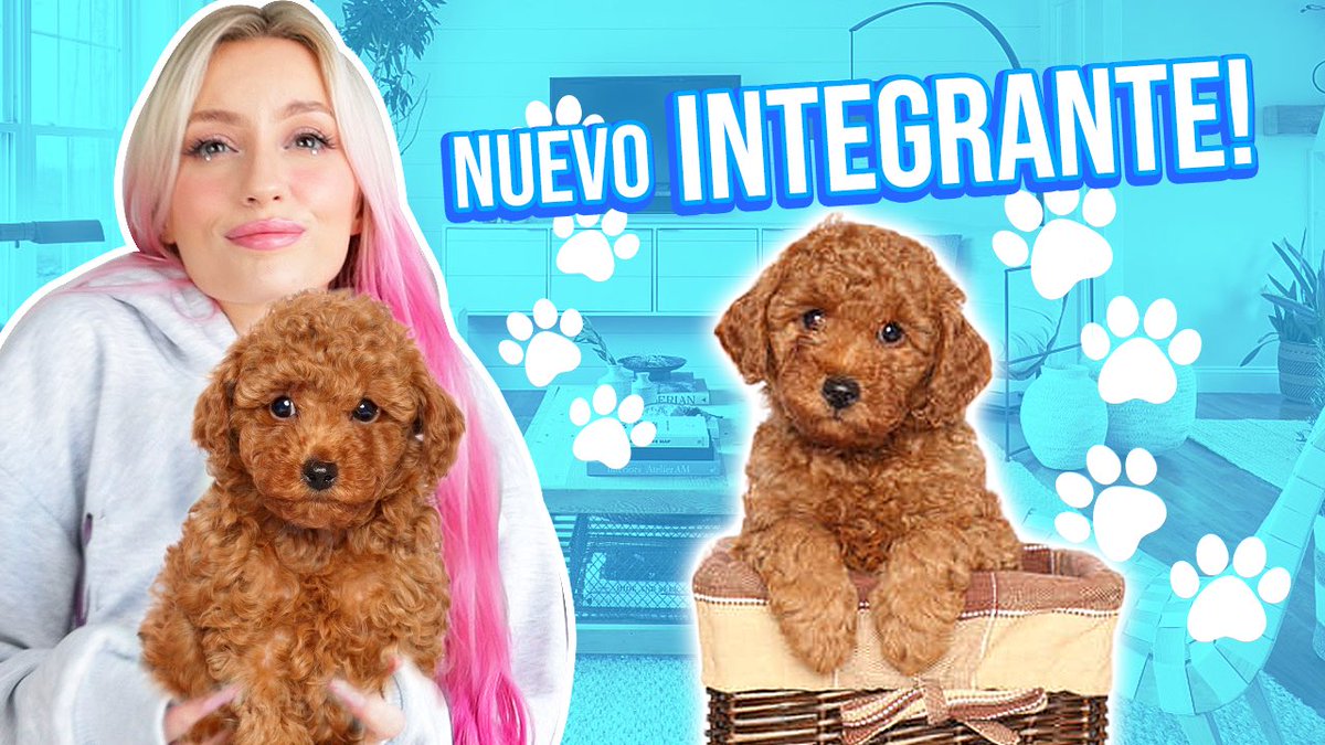 Siiii, yo sé que es inesperado, pero... Tenemos un nuevo BEBÉ!!!😳💕 Necesitaba un hogar... Alguien que lo rescatara y ADMITO que no me AGUANTÉ... Corran a conocer al nuevo bebé de la familia Angel💕😱 bit.ly/2XKQCrJ 🎥