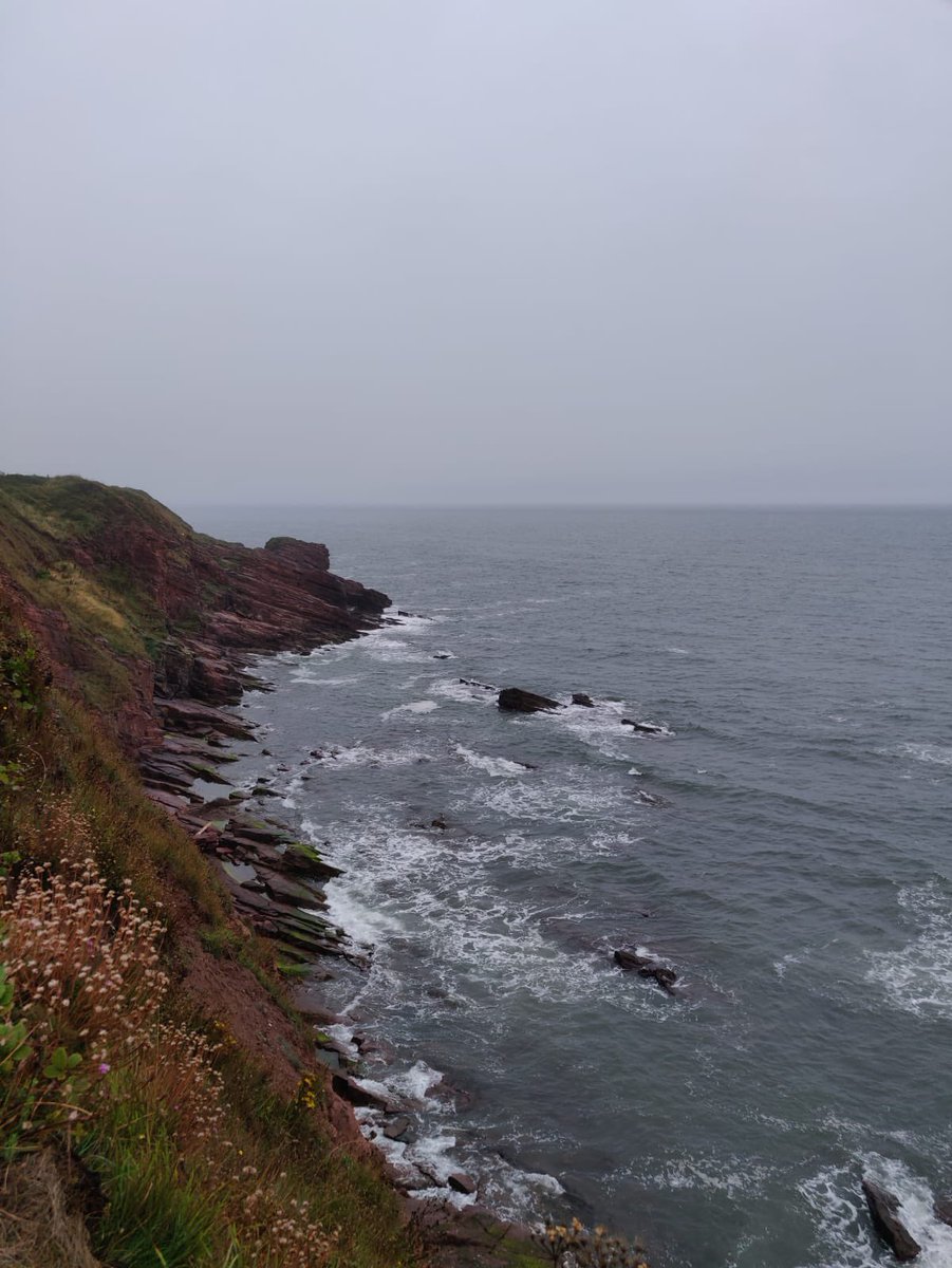 Arbroath Cliffs 🏴󠁧󠁢󠁳󠁣󠁴󠁿