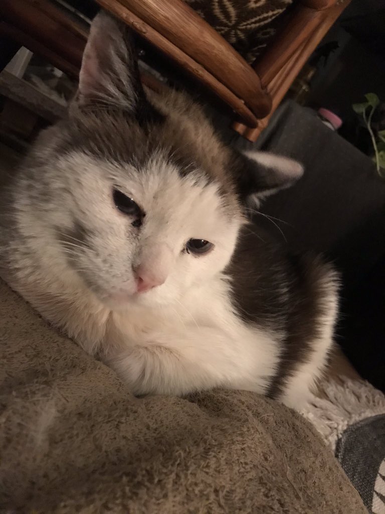 この忙し過ぎるストレス社会で潰されて精神的に凹んでる人がいっぱいいます
どうでしょう
何か価値基準を変えてもっと気楽に楽しく生きれる方法はないでしょうか
お金に焦点を充ててる時代はもう終わりだとしたら
何に価値を見出すかですね💦
素朴な家族との温かい日々でいいんじゃないですかね