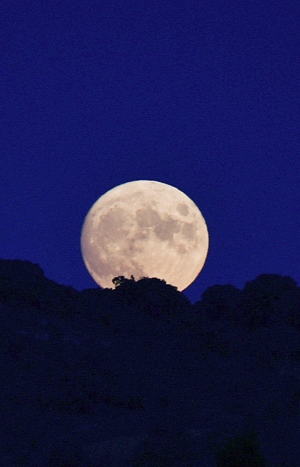 SELU©Photography (@proyecfotoselu) on Twitter photo 