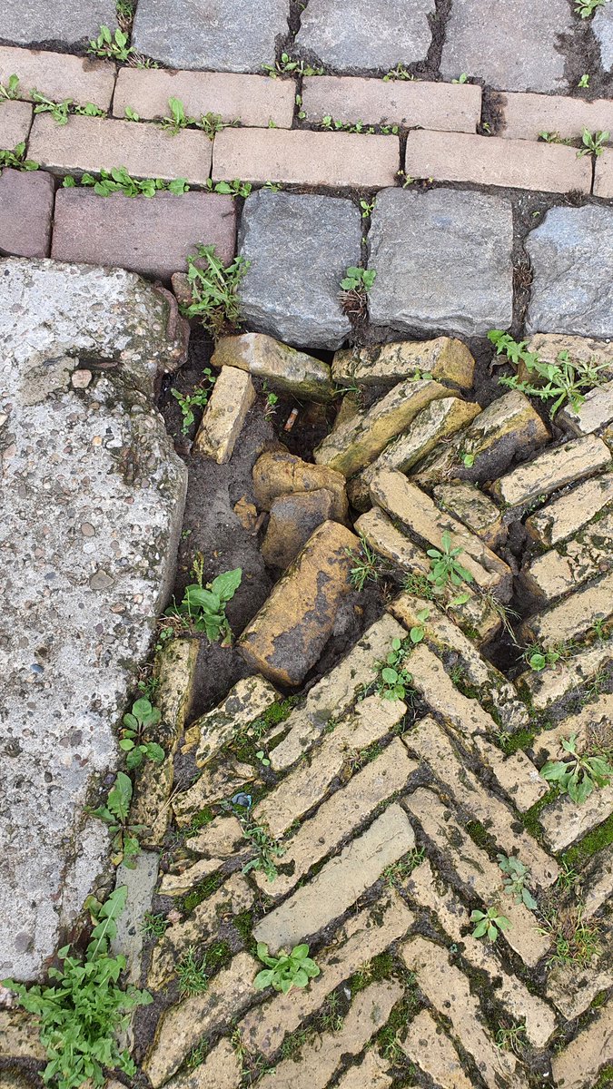 Sinkholes Fryslân style.