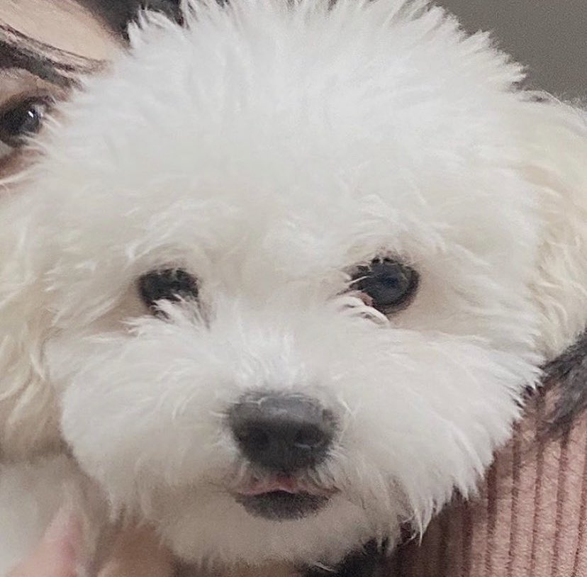 skylike022's tweet photo. 난 왜 이 시간에 또 잠이 깼는가

#섹트 #새벽 #일탈 #심심 #댕댕 https://t.co/kQzGzsd647