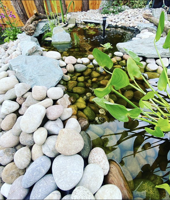 CarolineNeil's tweet photo. My new favourite place in the garden 💕  
#pondlife #tranquil #garden #lovemygarden #newpond #pond #lovenature #wildlifepond https://t.co/Pn7XXkX3Bm