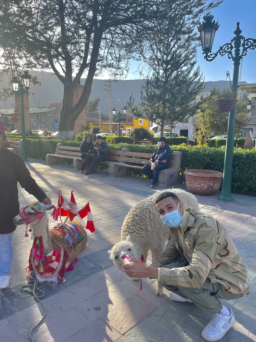 Dim’s 🇩🇿🌎✈️ tweet media