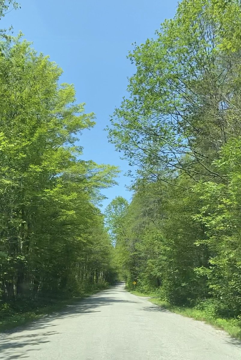 brankahalilovic's tweet photo. One of my favourite @OntarioParks. Relaxed. Recharged. #Awenda https://t.co/FkjCJLeiNp