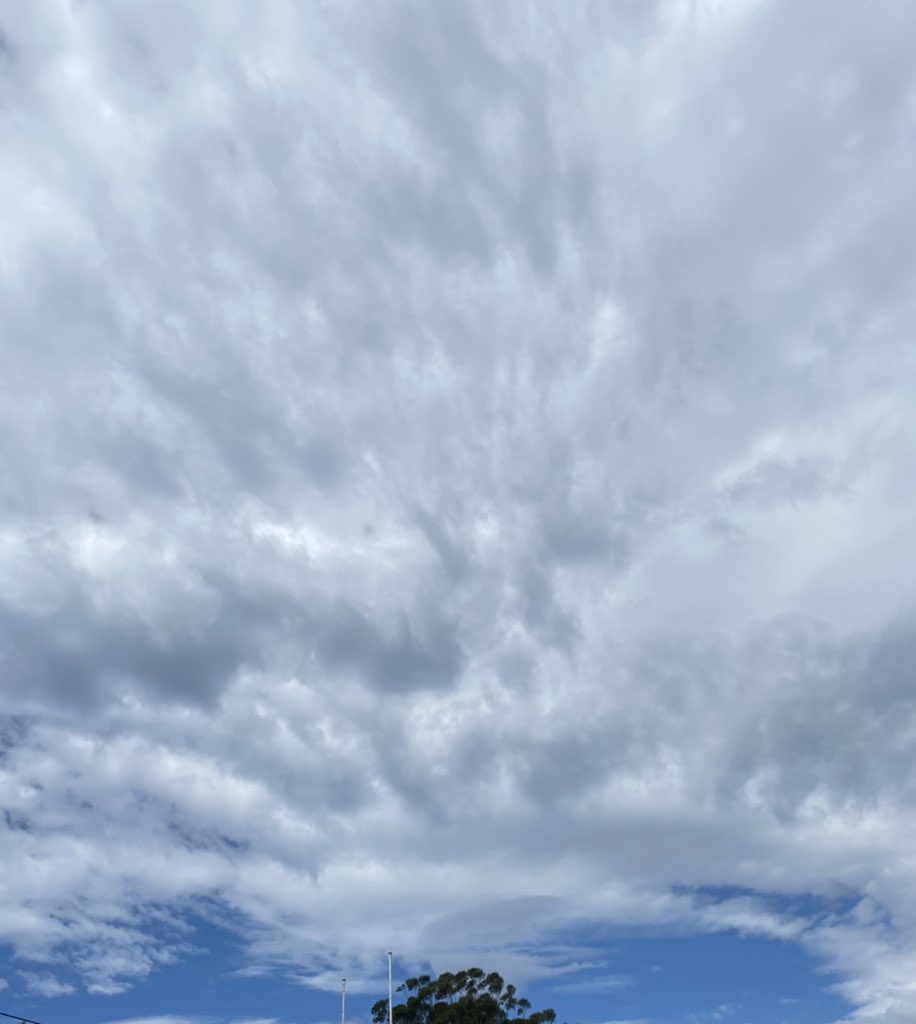 sandytrustteach's tweet image. Doc tests+ shopping means I get to enjoy some Vit D…..  #COVID19nsw #clouds #curled