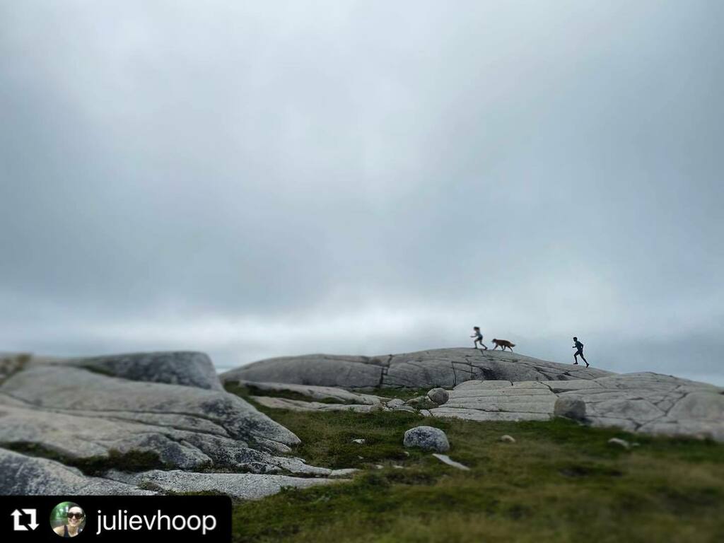 ⛰ #Repost @julievhoop 
・・・
🏃🏻‍♀️🐕🏃🏾‍♂️ 

#trailrunning #explorens #halifax #novascotia #getoutsidens #outsideisfree #novascotialife instagr.am/p/CS5WHN5H4SH/
