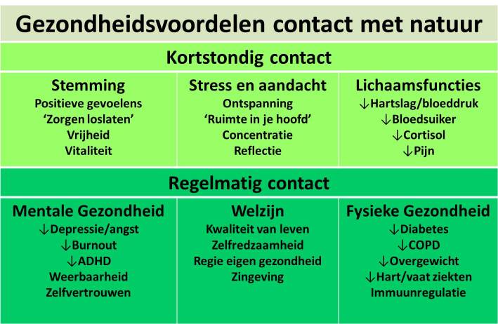 @nfhfoundation @Cath77777 @AiGezondheid @BoswachterFrans @Huisarts010Poel @AcademyIncDAI @MidpointBrabant @DuurzameZorg @ZorgbelangBrZe @sportieveHA @stadinbeweging Ik was al zonder onderstaande flink overtuigd van de lichamelijke en geestelijke voordelen van het wandelen in de natuur. Dat is sport sowieso maar de extra plus is wat mij ook betreft de natuur🌲🌳 t.o.v een wandeling tussen het beton🏢🏣