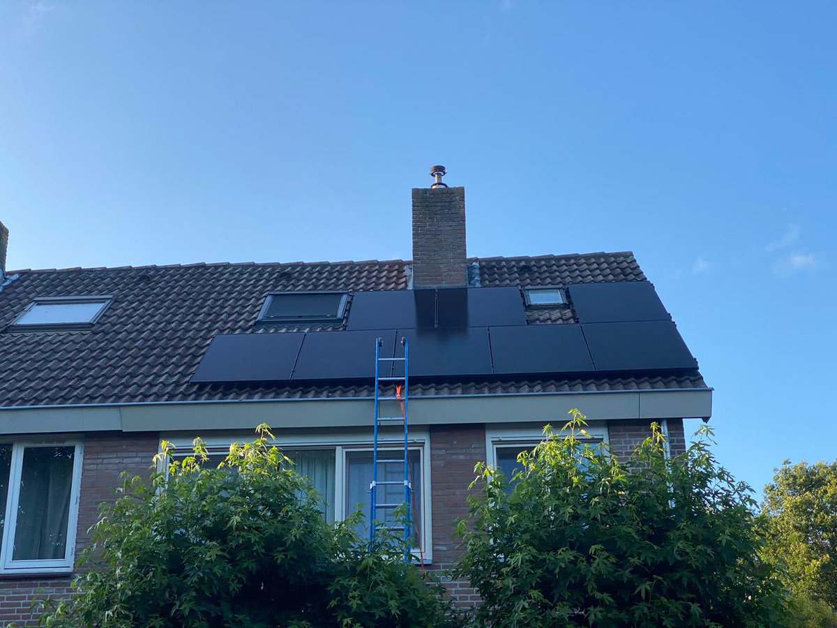 BholasingLex's tweet image. 