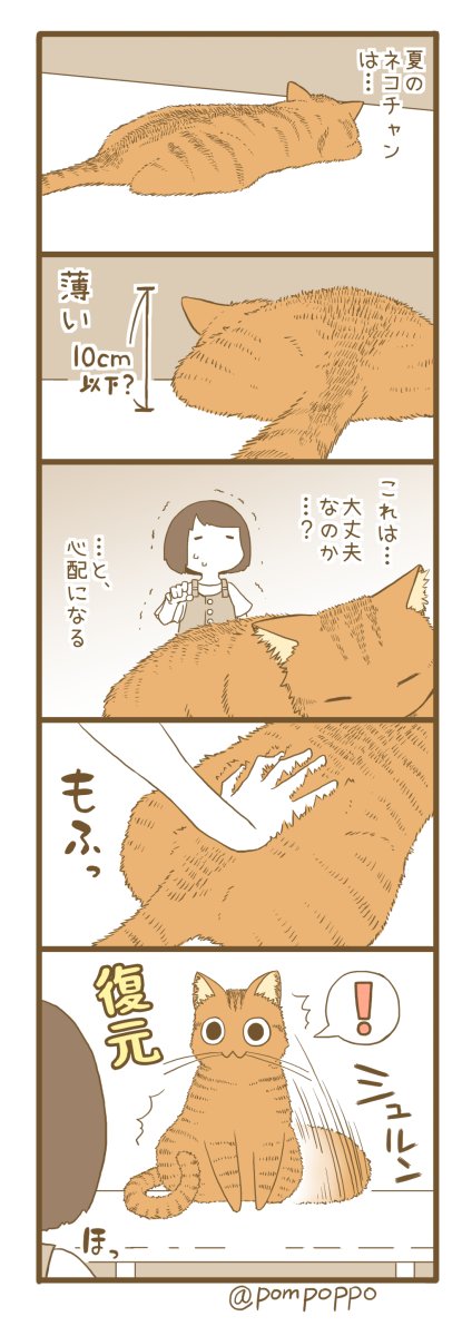 薄くなるネコチャン 