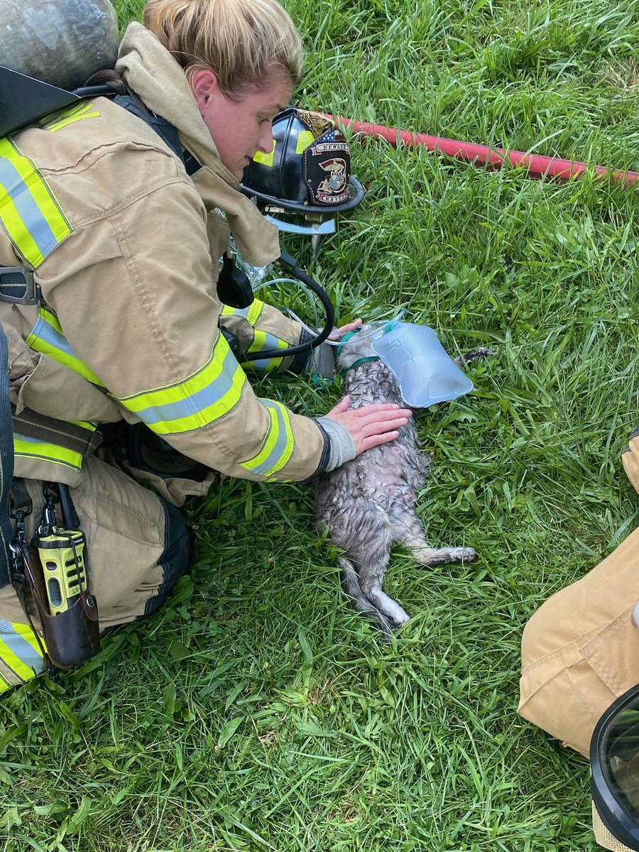 NewarkOHFire's tweet photo. Newark firefighters to 423 S. 2nd St today on a residential structure fire. The fire was contained quickly and no injuries to report. Several cats were rescued and provided first aid at the scene. #staysafe https://t.co/HkgeTCTfDl