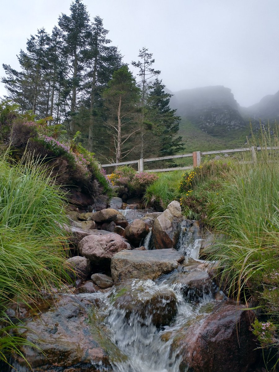 NatureL23172583's tweet photo. Irish mountain stream. #NaturePhotography https://t.co/3kQ3M3UOKz