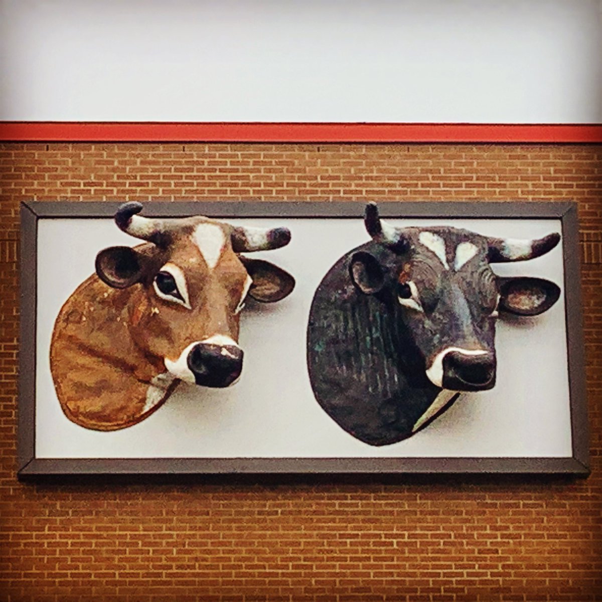 A photo a day for 2021
233 -365
#cows #cow #cowsofinstagram #farm #farmlife #cattle #nature #animals #dairy #farming #calf #dairycows #dairyfarm #cowstagram #agriculture #ilovecows #love #milk #cowsofig #instacow #vacas #countrylife #photography #farmer #sealtesticecream