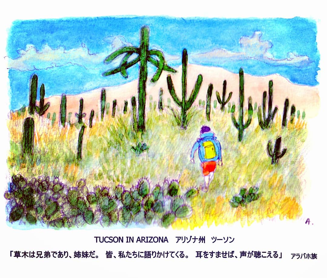 アリゾナ州 ツーソン
映画  〇バックトゥーザフューチャー3 
〇ＯＫ牧場の決闘 
〇大草原の小さな家,,,

#風景画 #水彩画 #アメリカ #アリゾナ州 #ツーソン
#Landscape #watercolor #arizona #tucson #USA