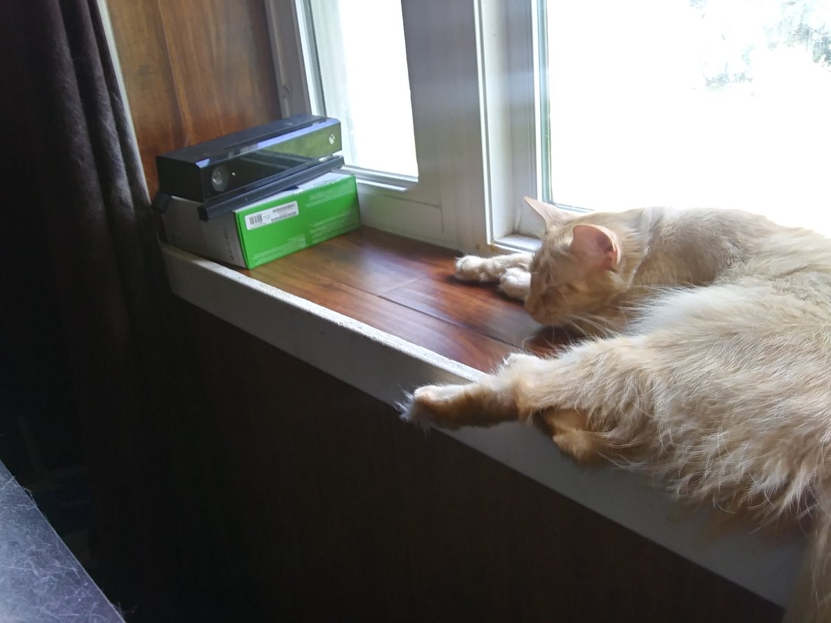 geekincarnate's tweet photo. Today Pixel is gonna stream. She gonma be the most ferocious killer in #DeadbyDaylight https://t.co/kQZxkUeZzB #aww #CatsofTwittter #SupportSmallStreamers #kitty #twitchstreaming #twitch https://t.co/0I9UZBlGbT