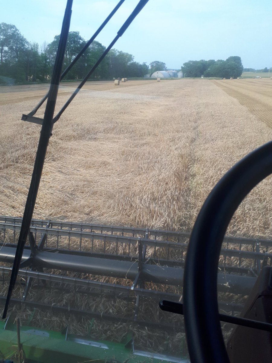 GavinGilchrist3's tweet photo. @reganellison21 Harvesting grandpa's home farm, after it's no longer the families has the same feeling. https://t.co/HuQti7AkHV