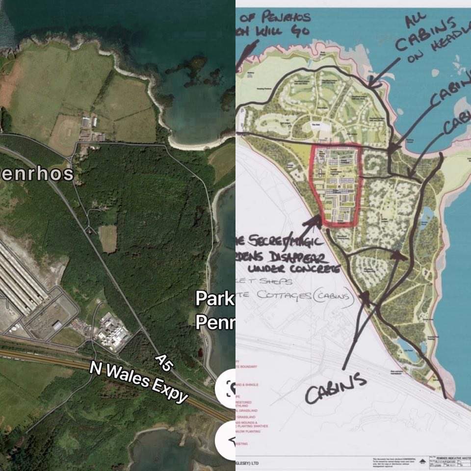 twittyhilster's tweet photo. @CThomasMS @PenrhosSave 10.000 objectors would agree. I know which map I prefer.We speak for species that can’t! Os treisiodd y gelyn fy ngwlad dan ei droed. Ni luddiwyd yr awen gan erchyll law brad.
@IoloWilliams2 @CoedCadw @CThomasMS @Lisabla82973016 @PenrhosSave @CIFOR @environmentmats https://t.co/8WccrqU3FU