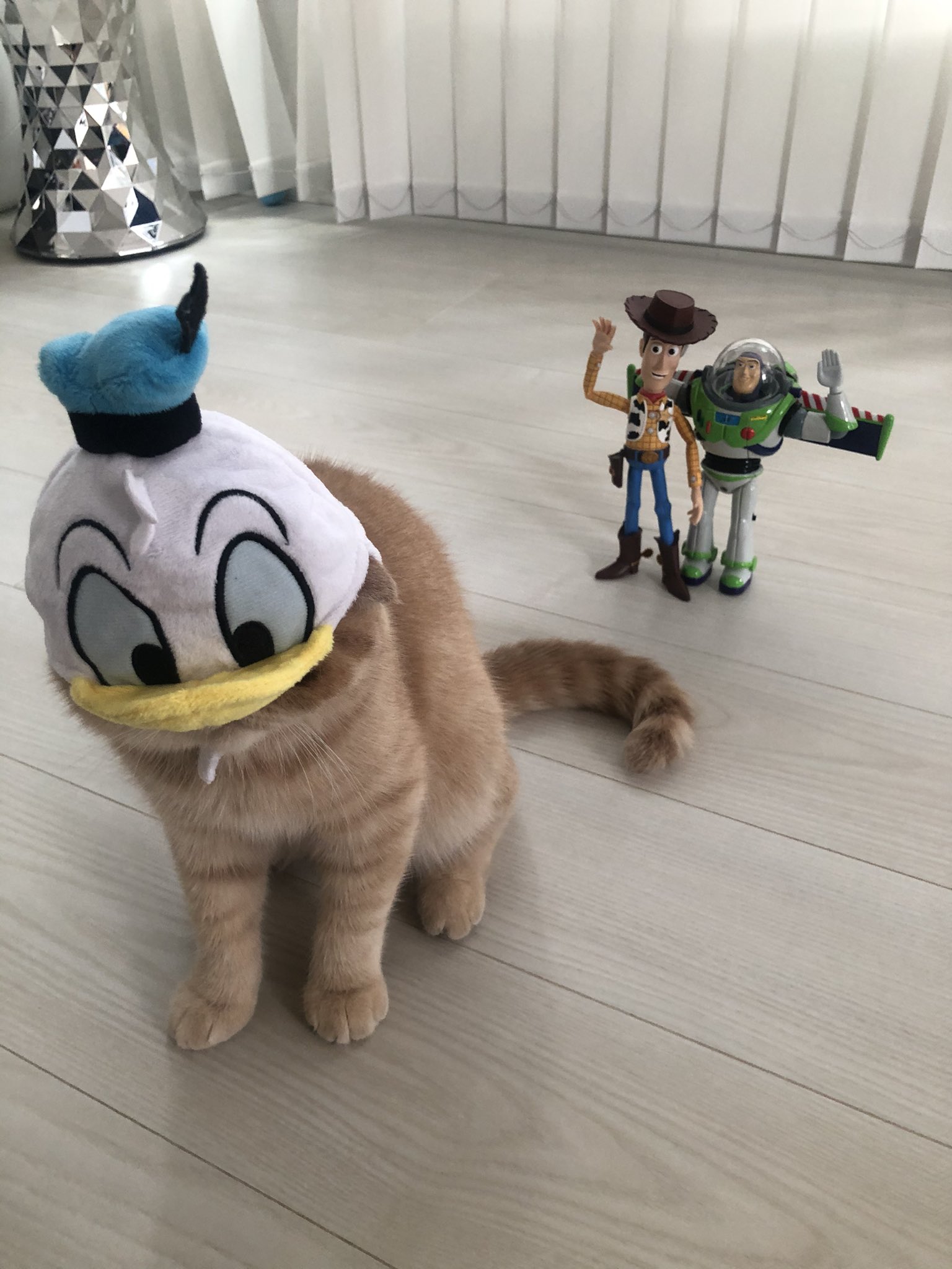 ディズニー被り物 Twitter Search Twitter