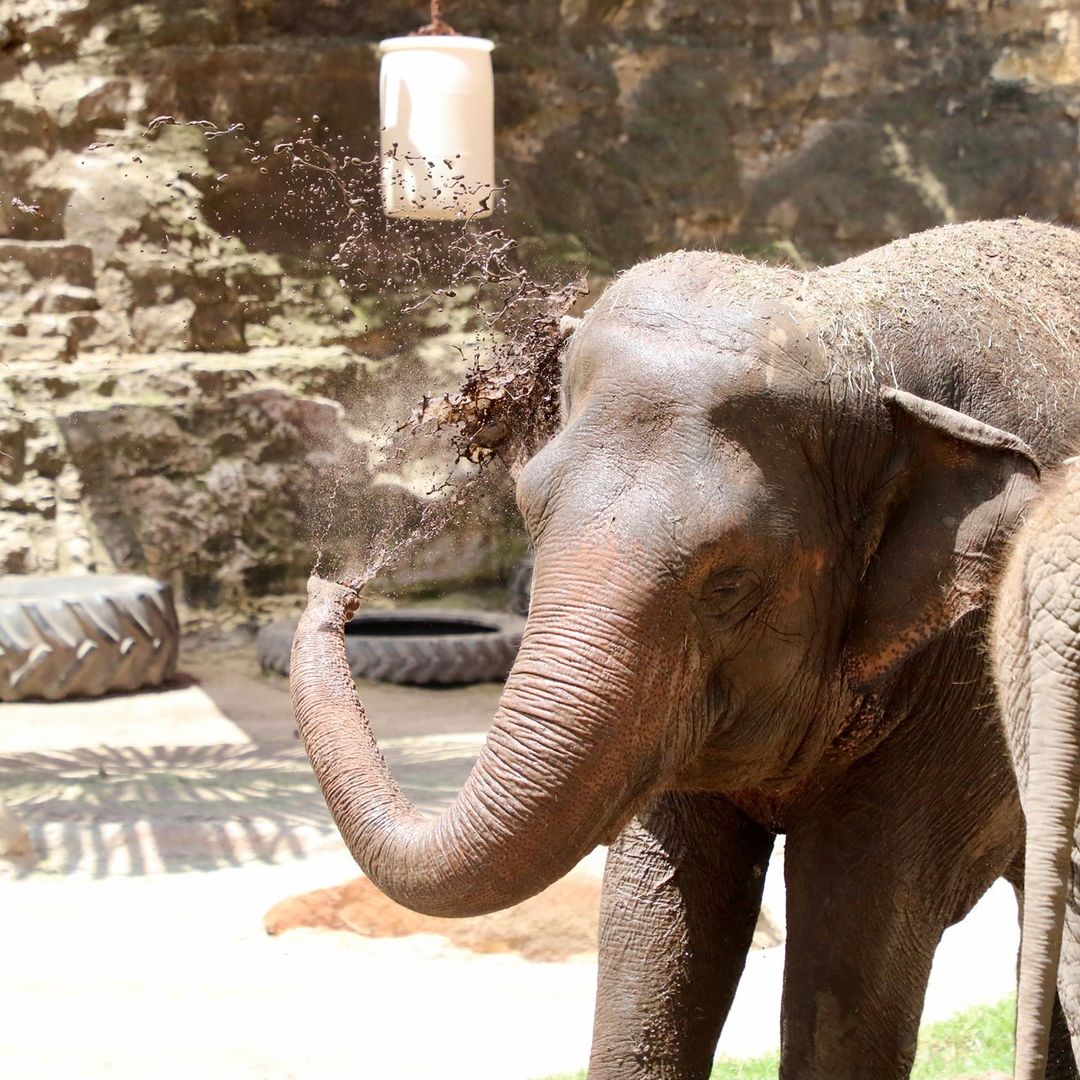 Cellars at Pearl tweet media