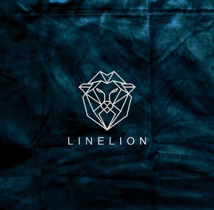 LDesign999's tweet image. Check out my Gig on Fiverr: do unique, modern, minimalist business logo design fiverr.com/share/eE6yb4