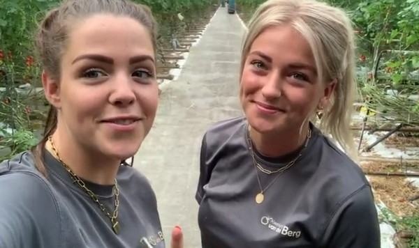 Sanne en Tess vloggen in de kas bij Kwekerij van den Berg
groentennieuws.nl/article/934802…