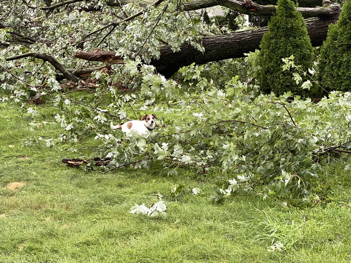 GeekMomK tweet media