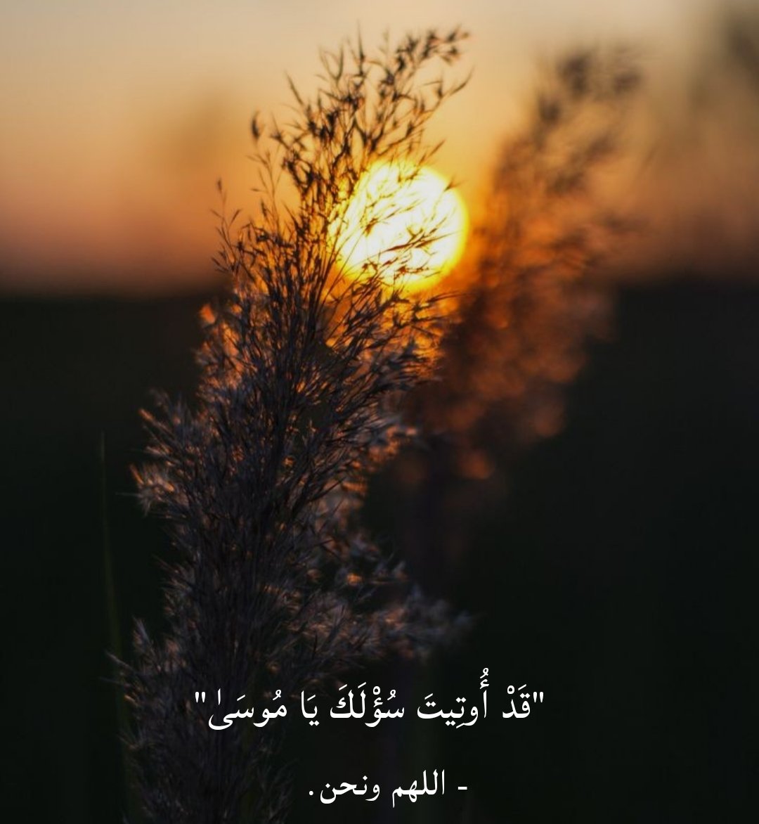 Nono (@nono08380471) on Twitter photo 