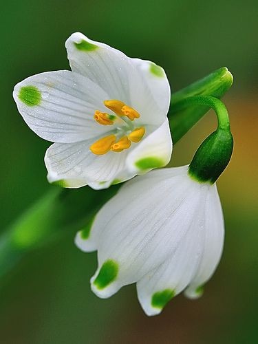 أقسى أنواع البعد :أن تكون بعيدًا عن ربك ! و هو سبحانه يقول "و نحن أقرب إليه من حبل الوريد "