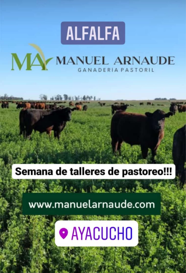 Manuel Arnaude tweet media