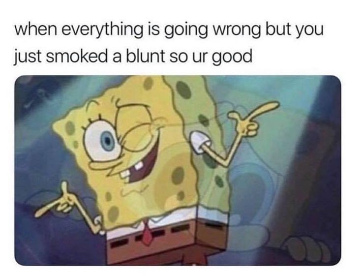 GetYourWaxOn's tweet photo. As long as you've got a pack of Dutches you're good. 

#stoners #denvercolorado #stonermemes #localbuisness #getyourwaxon #blunts #smokers  #sundayfunnies https://t.co/h9vGb14X07
