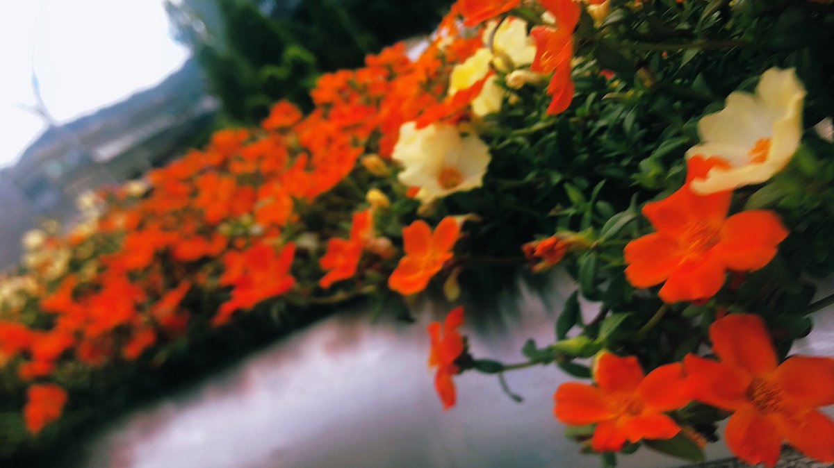 おはようございます☀

今週も1週間が始まりますね✨

よろしくお願いします✋

#おはようございます　
#エシカル　
#サスティナブル