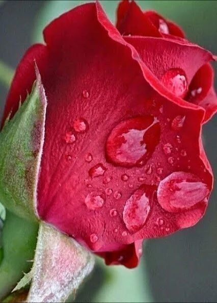 كلما هممت ببوح حزني ...😔 أخجلني قول ربي .... وبشر الصابرين.💕