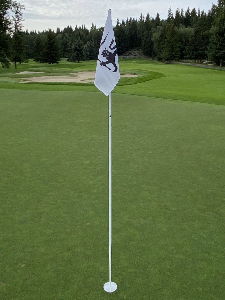 SirMartinKelly tweet media