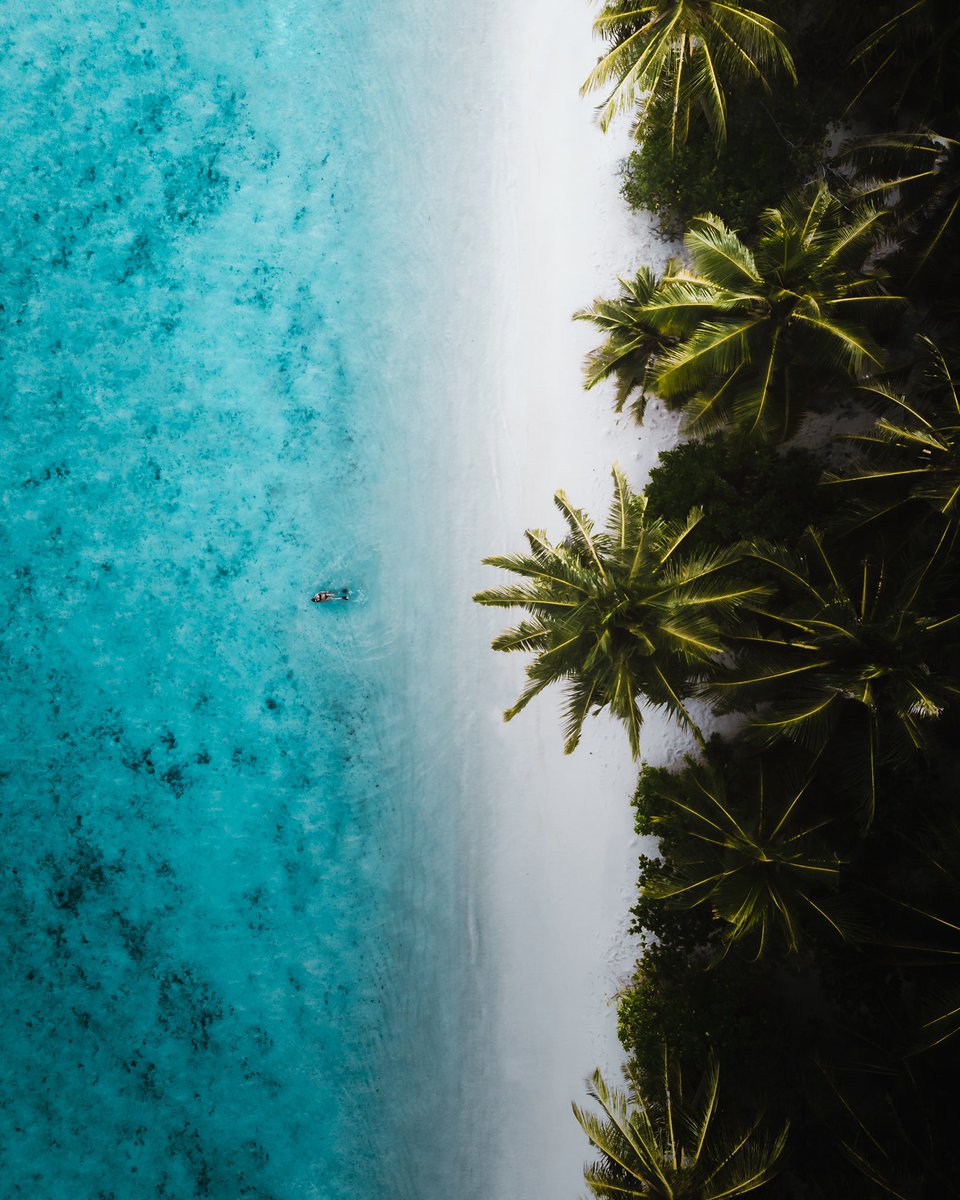 BenSavagee's tweet photo. #9 from my “Into The Blue” collection just got scooped up by @coopdalacoop 💙

This shot was captured on my trip to the Maldives back in 2018 on one of my first international trips. This was the trip that gave me a taste for tropical scenes and I have been obsessed ever since 🏝 https://t.co/UxJjoOJC8B