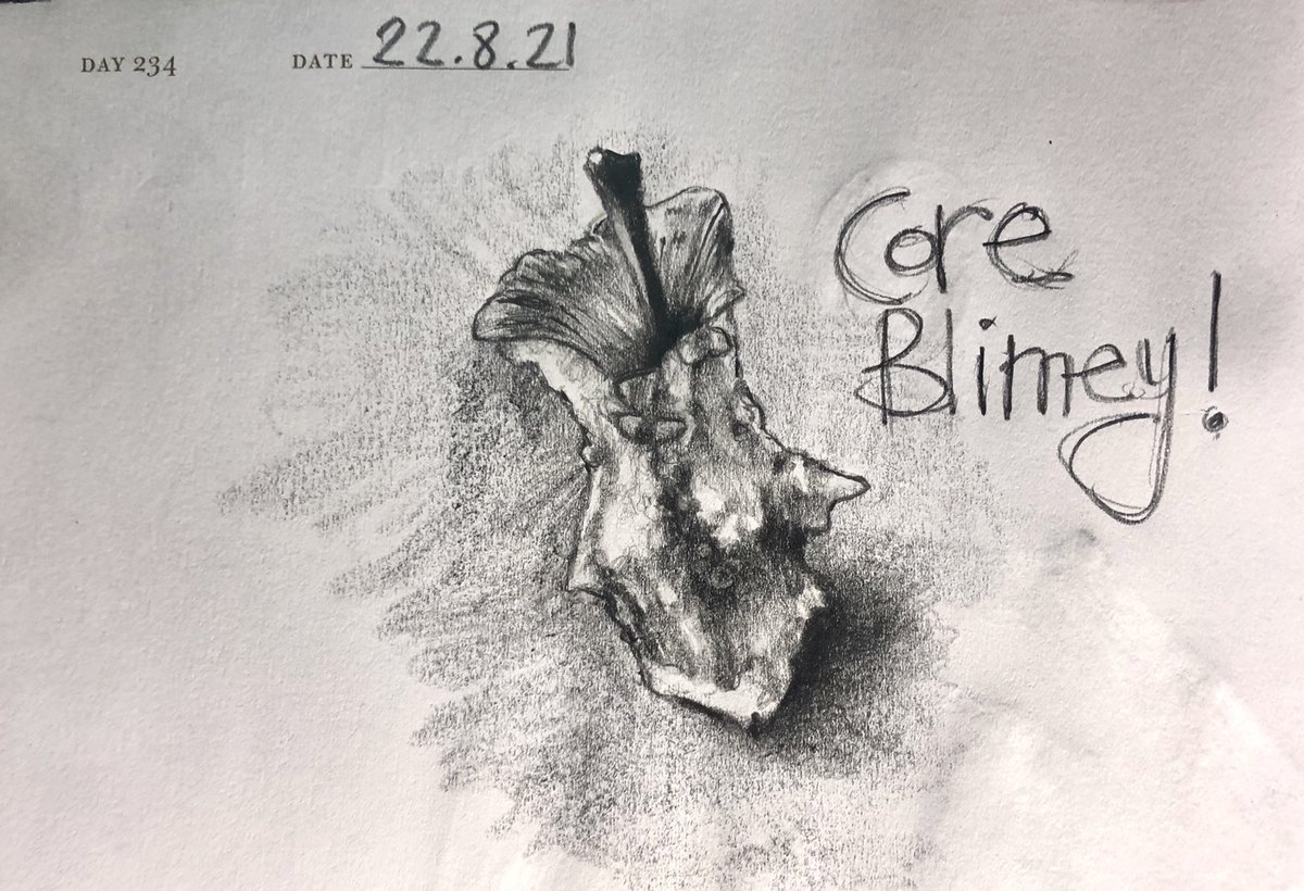 Venster67's tweet photo. One Sketch A Day 22.8.21
‘Core Blimey!’
#coreblimey #applecore #apple #fruit #core #onesketchaday #sketchbook #visualdiary #art #illustration #pencilstudy #pencilsketch #stilllife https://t.co/e3xhx5itJd