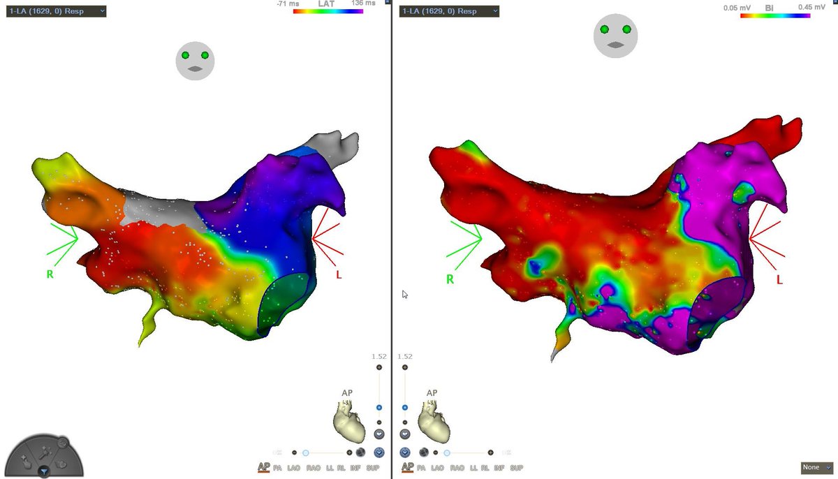 Edward Gerstenfeld tweet media