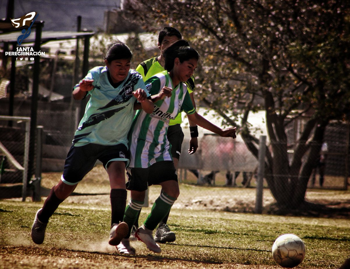 SiempreConVosJA's tweet photo. #AnualFemenino | "SUBE Y SUBE"
Las Santitas superaron a #AtlSalta sin inconvenientes 6-0 con un poker de Sofía Marín, Agustina Puca y Vanina Rodríguez.
Juventud ganó, goleó y sigue invicto en lo más alto del torneo.
#VαɱσʂLαʂSαɳƚιƚαʂ💪 https://t.co/rVvCgaX3VI