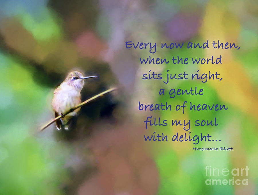 KerriFar on Twitter: ""Every now and then, when the world sits just right,  a gentle breath of heaven fills my soul with delight..."~ Hazelmarie  Elliott #quote - https://t.co/lfiYUtyksW ~ #Hummingbird #NewRiverNature  #BirdArt #