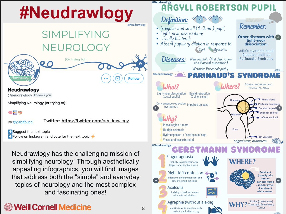 Happy to be featured on the #HowToNeuroTwitter 2.0 Guide! 
Thank you @aszelikovich and all the amazing people from #NeuroTwittterNetwork 🧠💜

Check the full guide below ⬇️