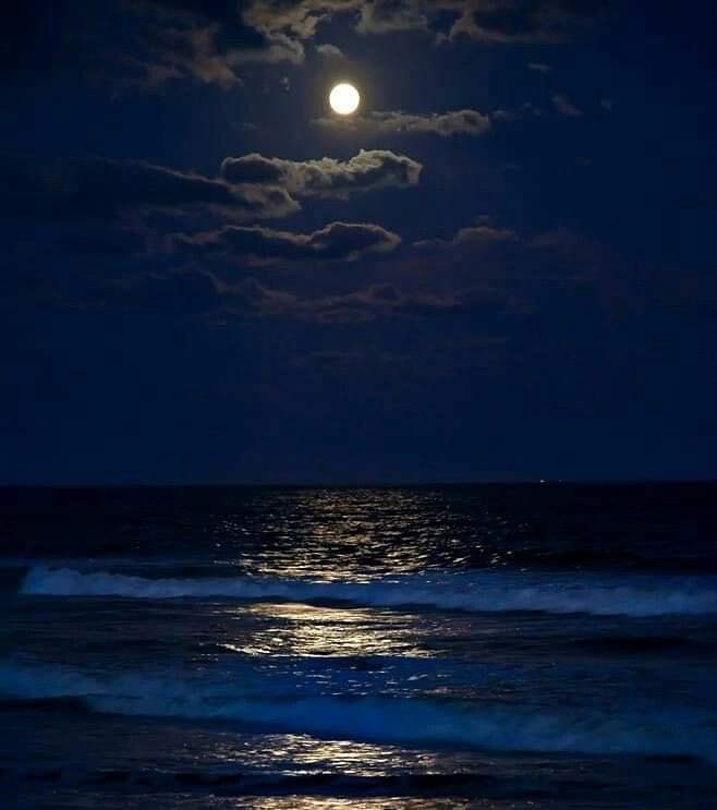 Лунная ночь на черном море. Океан ночью. Ночное море. Лунная ночь. Ночь в море.