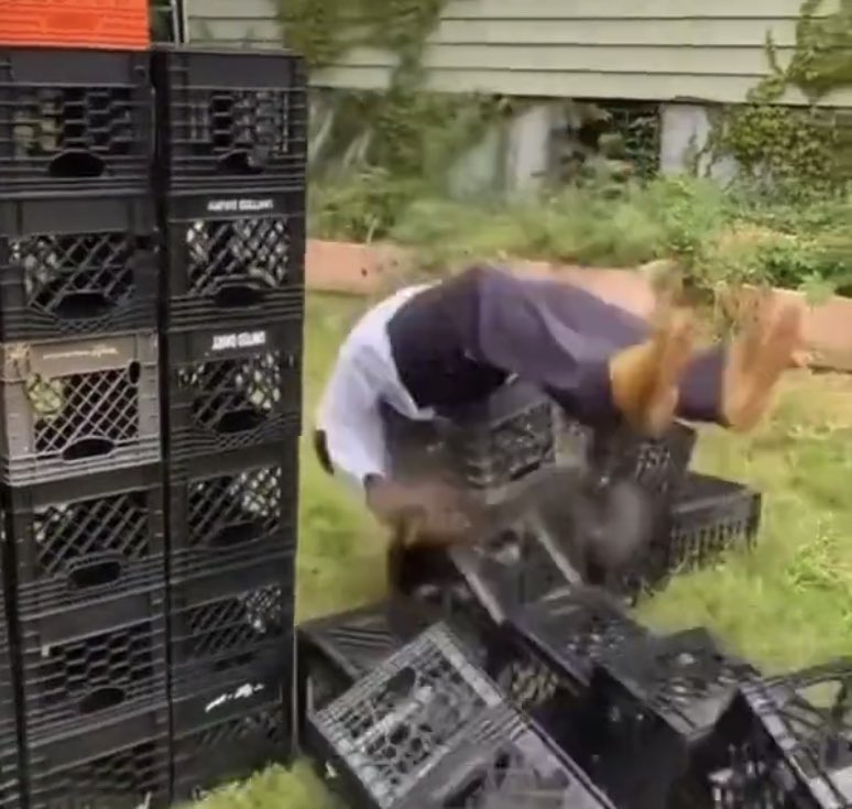 kupo! unique tweet media