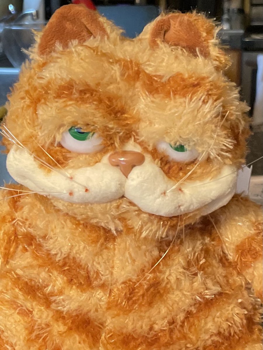 kyoconna's tweet photo. You know what day it is https://t.co/k9MP016dQ6
