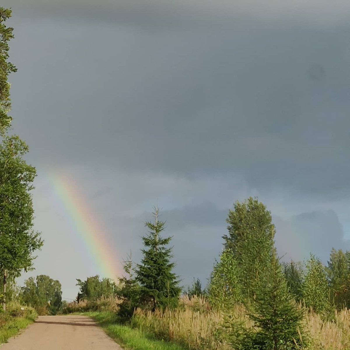 LuetteDie's tweet photo. Went on a little tour yesterday with the best company. A wall of rain coming towards us and a double rainbow behind us.. nature surely knows how to flex 💯🌧️🌈
#beautifulnature #home #finland #naturephotography #goodlife #littletour #enjoylife #bestcompany #doublerainbow https://t.co/uP2SubjuC4