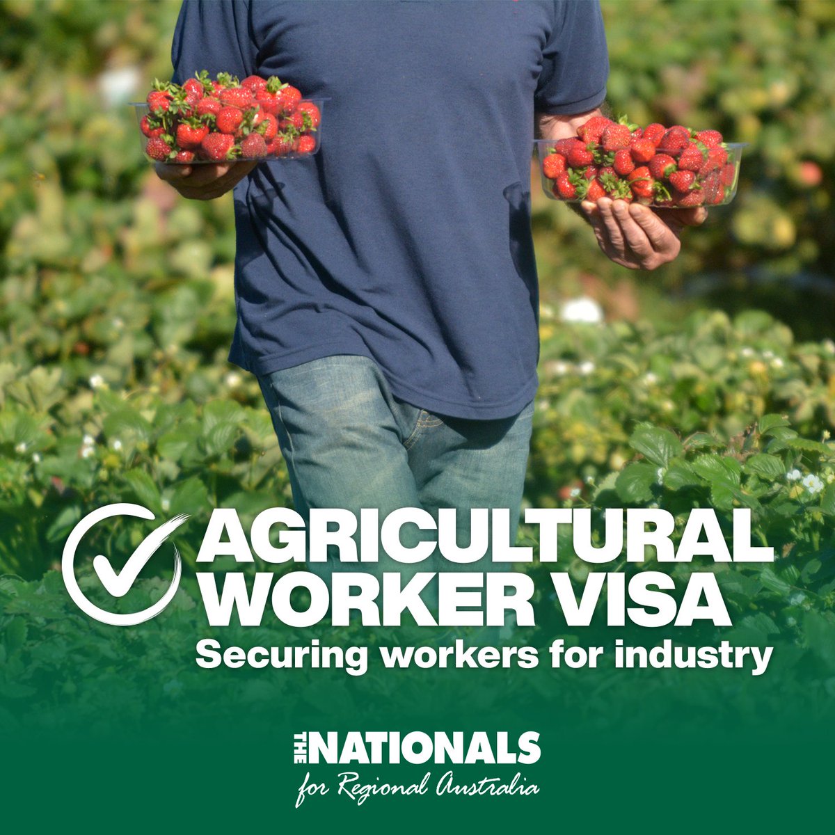 senbmckenzie's tweet photo. We have announced the establishment of the Ag Visa. 👏

It will be in place by September 30. ✅

This visa responds to workforce shortages in the agriculture and primary industry sectors. 🍓

@The_Nationals back our Aussie farmers. 💪 https://t.co/TKzz0hMXPB