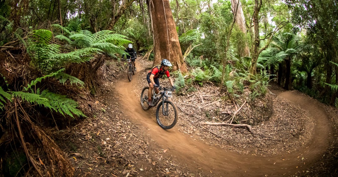 GeocentricAR's tweet photo. You’ve got this … riders descend through some of the most beautiful berms in the country on Day 2 of the Dragon Trail Mountain Bike Race. https://t.co/elEatYf4KA 
#dragontraildreaming #bluederby #sthelensmtb 

📷  Margarete Oti and Murilo Mattos https://t.co/XBtGAy22vr